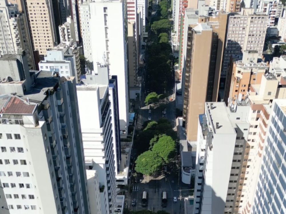 Vista aérea do bairro Bigorrilho, em Curitiba, destacando prédios residenciais e arborização urbana — exemplo de como morar em Curitiba com conforto.
