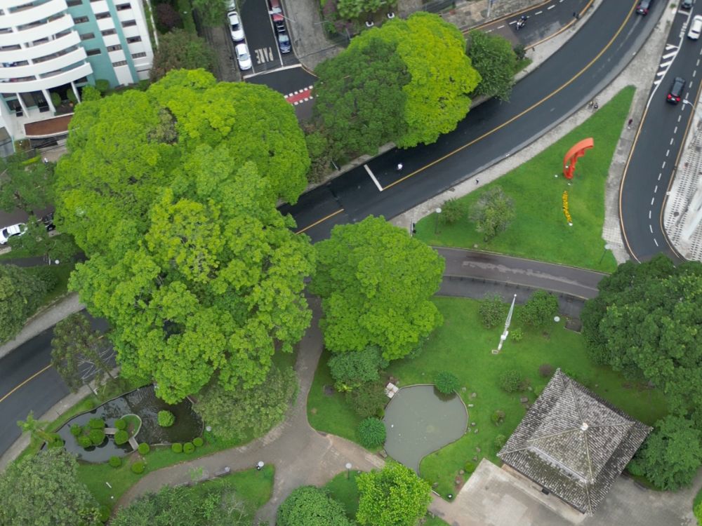 Praça com vegetação densa e ruas organizadas no Bairro Água Verde Curitiba, enfatizando a qualidade de vida que faz o bairro ser bom para viver.