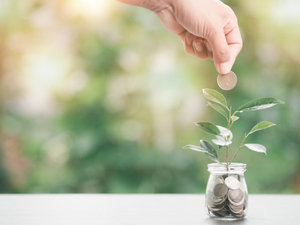 Mão colocando moeda em pote com planta simboliza que viver de renda de aluguel é um bom caminho para crescimento financeiro sustentável.