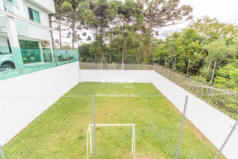 Campo