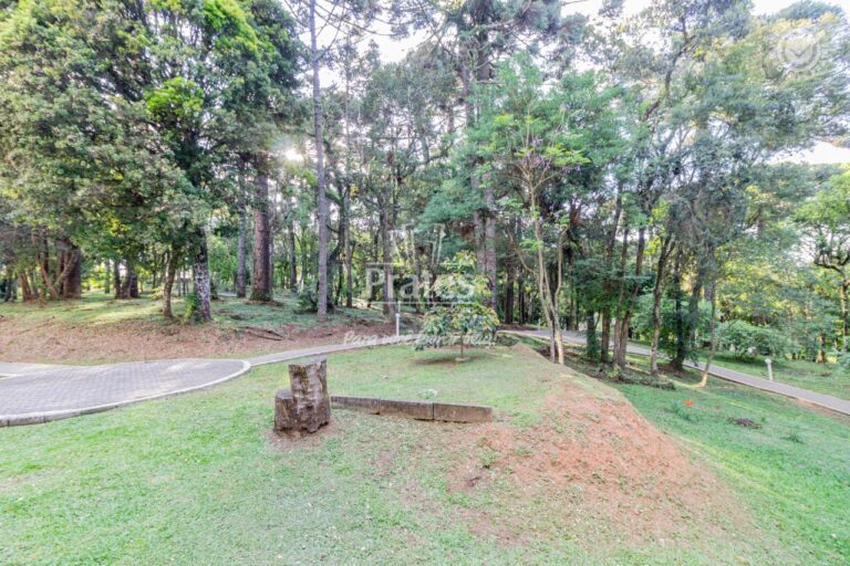 Bosque