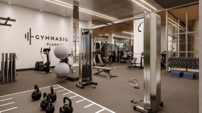 Gymnasium Plaenge