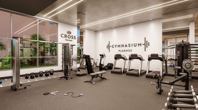 Gymnasium Plaenge