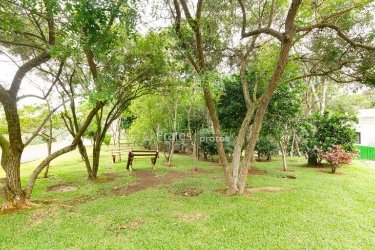 Bosque