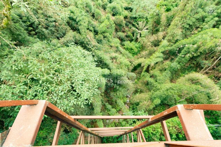 Vista Ponte