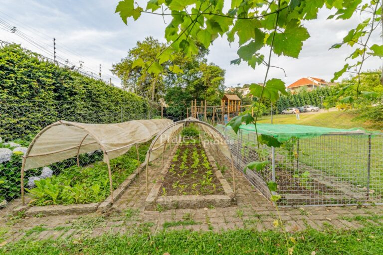 Horta