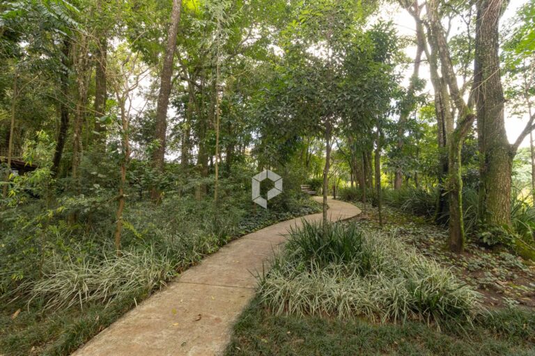 Bosque