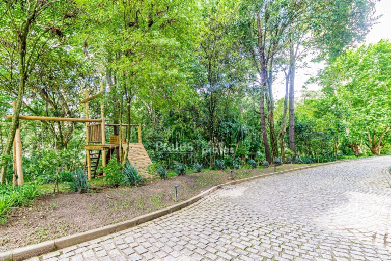 Bosque