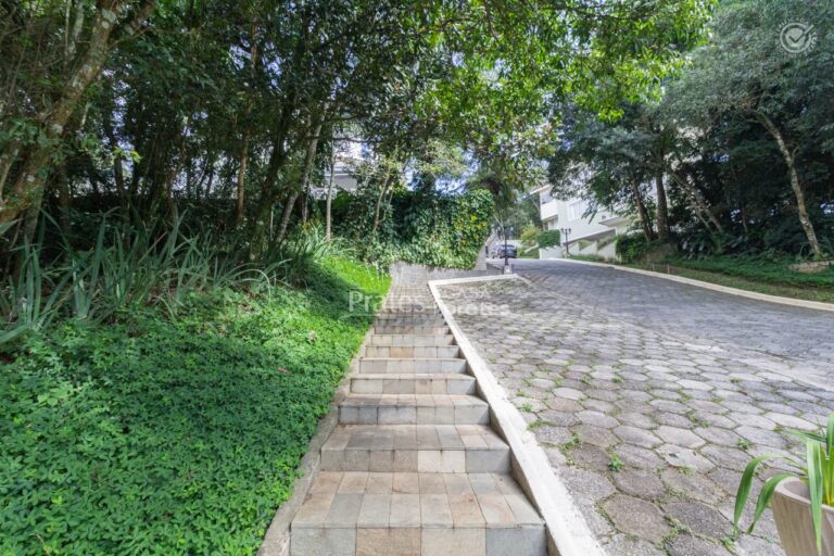 Entrada