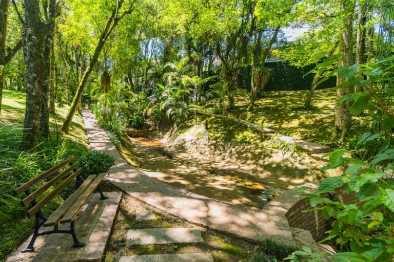 Jardim