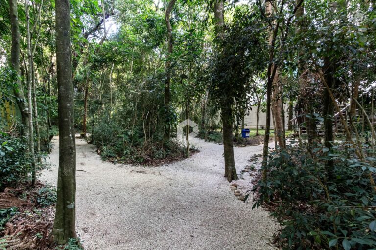 Bosque